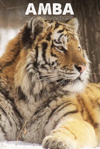 Amba: The Russian Tiger