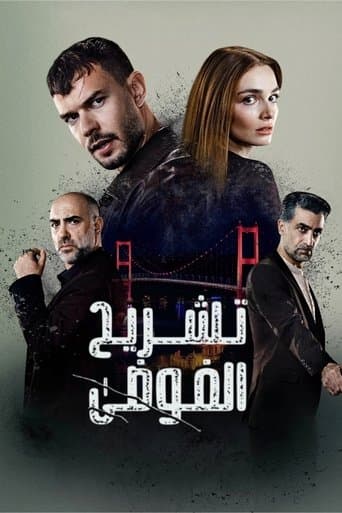تشريح الفوضى