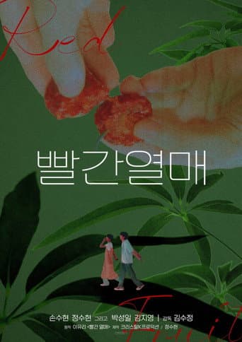 빨간열매