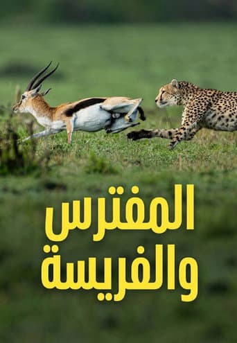 المفترس والفريسة