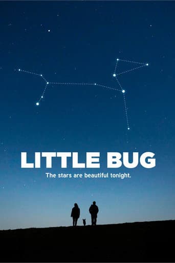 Little Bug