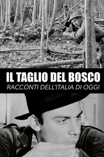 Il taglio del bosco