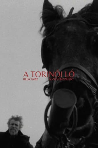 A torinói ló