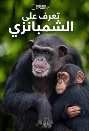 لقاء الشمبانزي