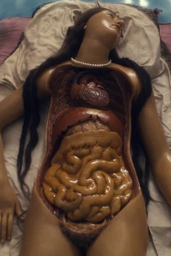 Four Unloved Women, Adrift on a Purposeless Sea, Experience the Ecstasy of Dissection
