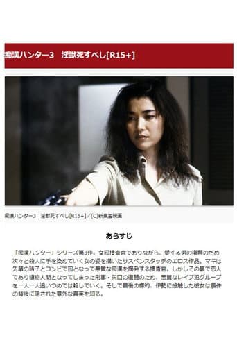 女痴漢捜査官３　恥情のテクニック