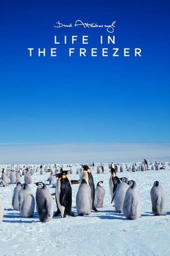 Life in the Freezer